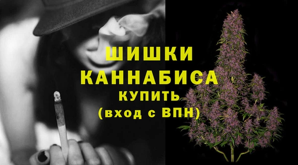 гашик Шадринск