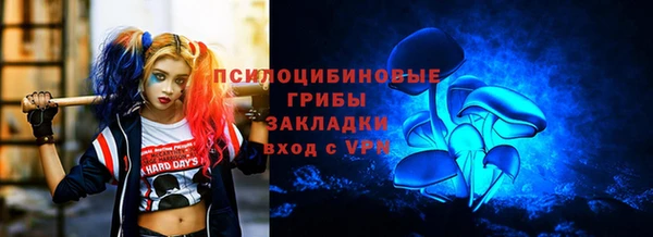 амф Чегем