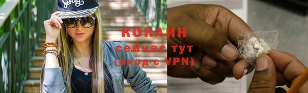 гашик Шадринск