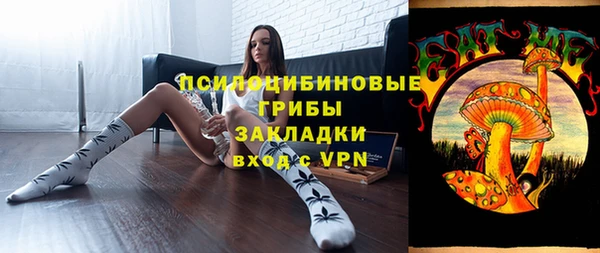 гашик Шадринск
