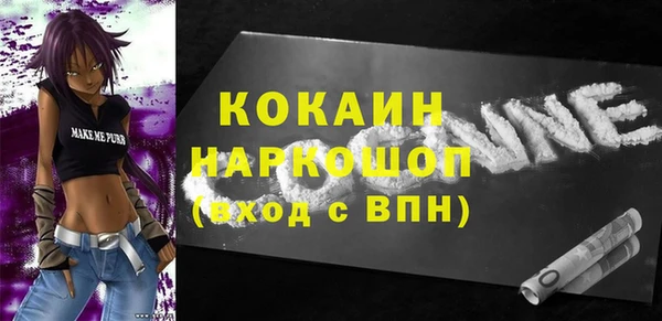 гашик Шадринск