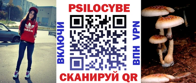 Купить где  Боровск  Псилоцибиновые грибы Psilocybe 